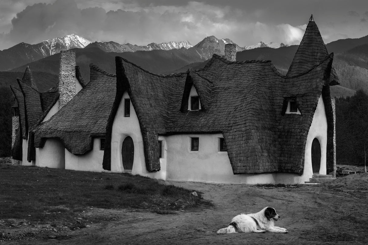 Fantasy Cob Castle from Transylvania Poster och Canvastavla