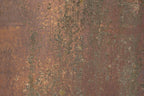 Rust 30 Poster och Canvastavla