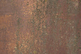 Rust 30 Poster och Canvastavla