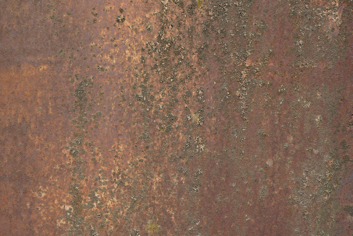 Rust 30 Poster och Canvastavla