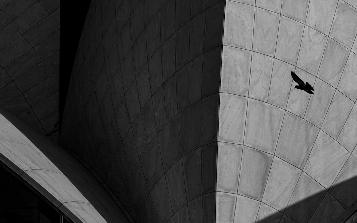 LOTUS TEMPLE Poster och Canvastavla
