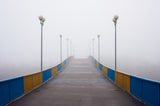 Foggy morning Poster och Canvastavla