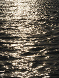 sea waves at sunset Poster och Canvastavla