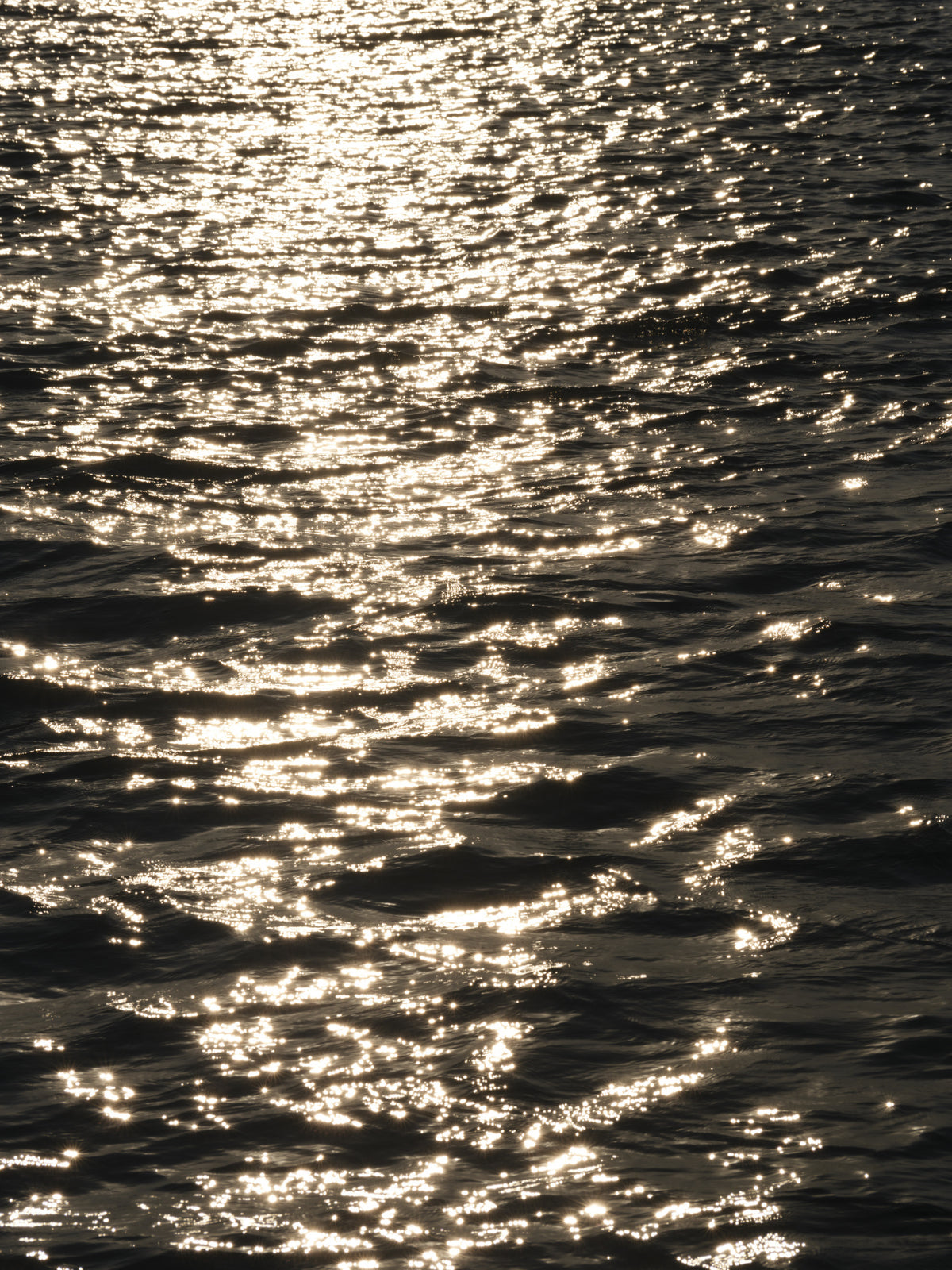 sea waves at sunset Poster och Canvastavla