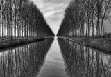 Vanished to the infinite Poster och Canvastavla