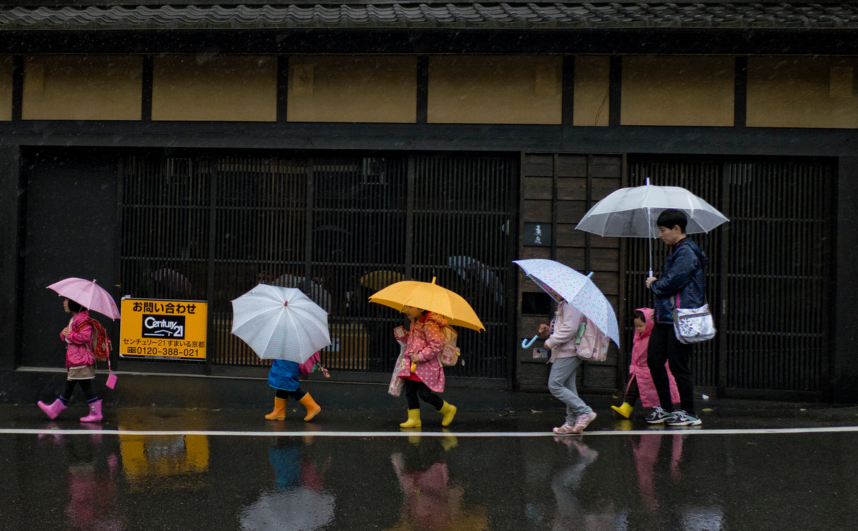 Under the rain Poster och Canvastavla