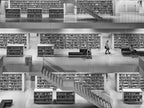 Library life II Poster och Canvastavla