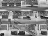 Library life II Poster och Canvastavla