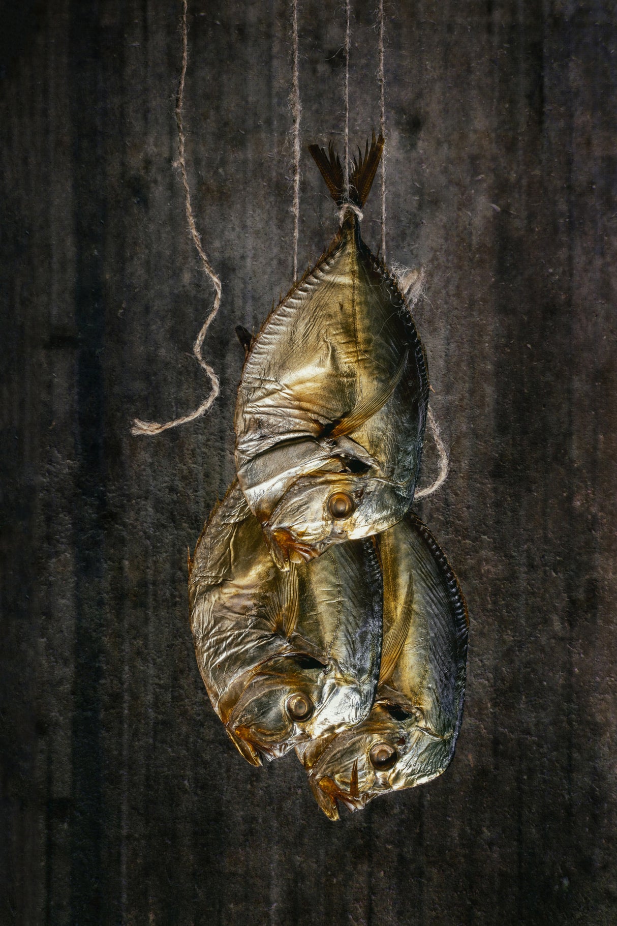 Fish Poster och Canvastavla