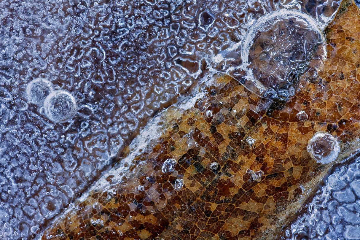 Mosaic in the ice Poster och Canvastavla
