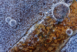 Mosaic in the ice Poster och Canvastavla