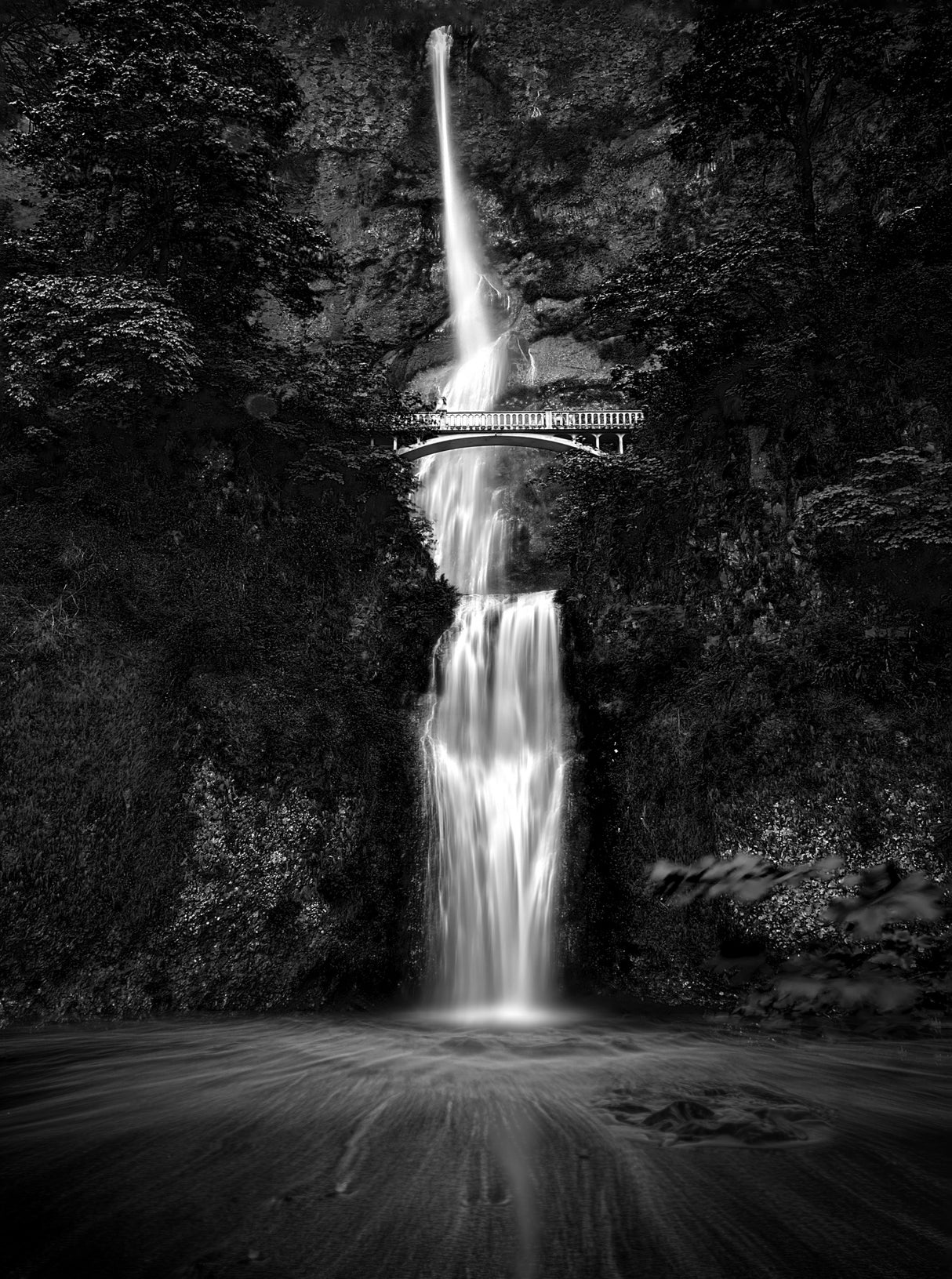 Multnomah Falls Poster och Canvastavla