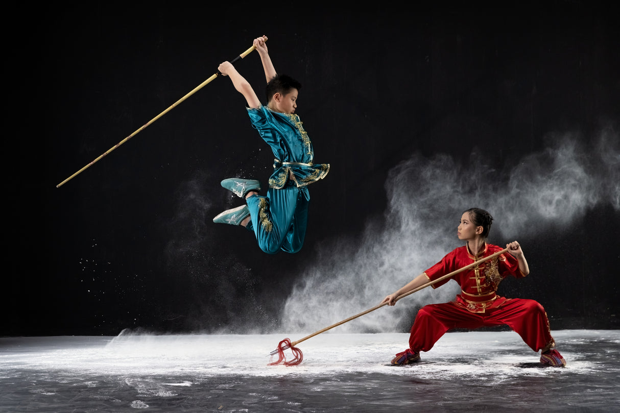 Sister and Brother Wushu Poster och Canvastavla