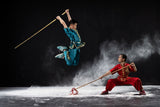 Sister and Brother Wushu Poster och Canvastavla