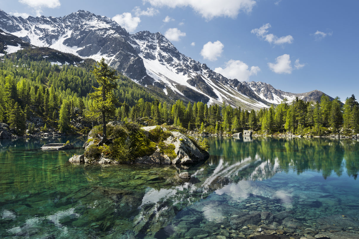 Green Mountain Lake Poster och Canvastavla