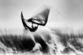 Surf Poster och Canvastavla