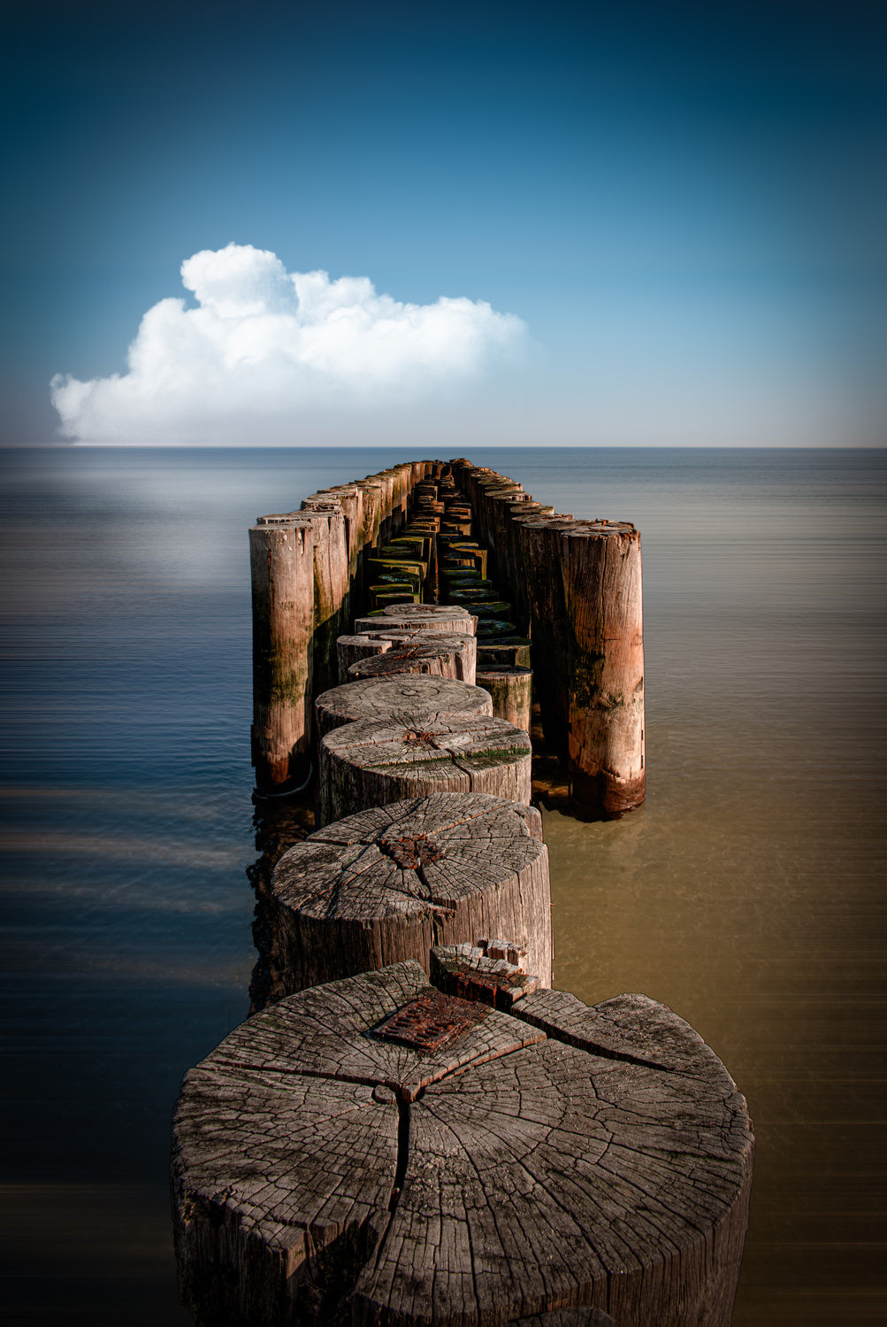 ...the old pier Poster och Canvastavla