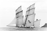 Sailboat "La Granvillaise" Poster och Canvastavla