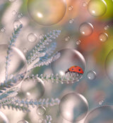 Sheltered in his bubble... Poster och Canvastavla