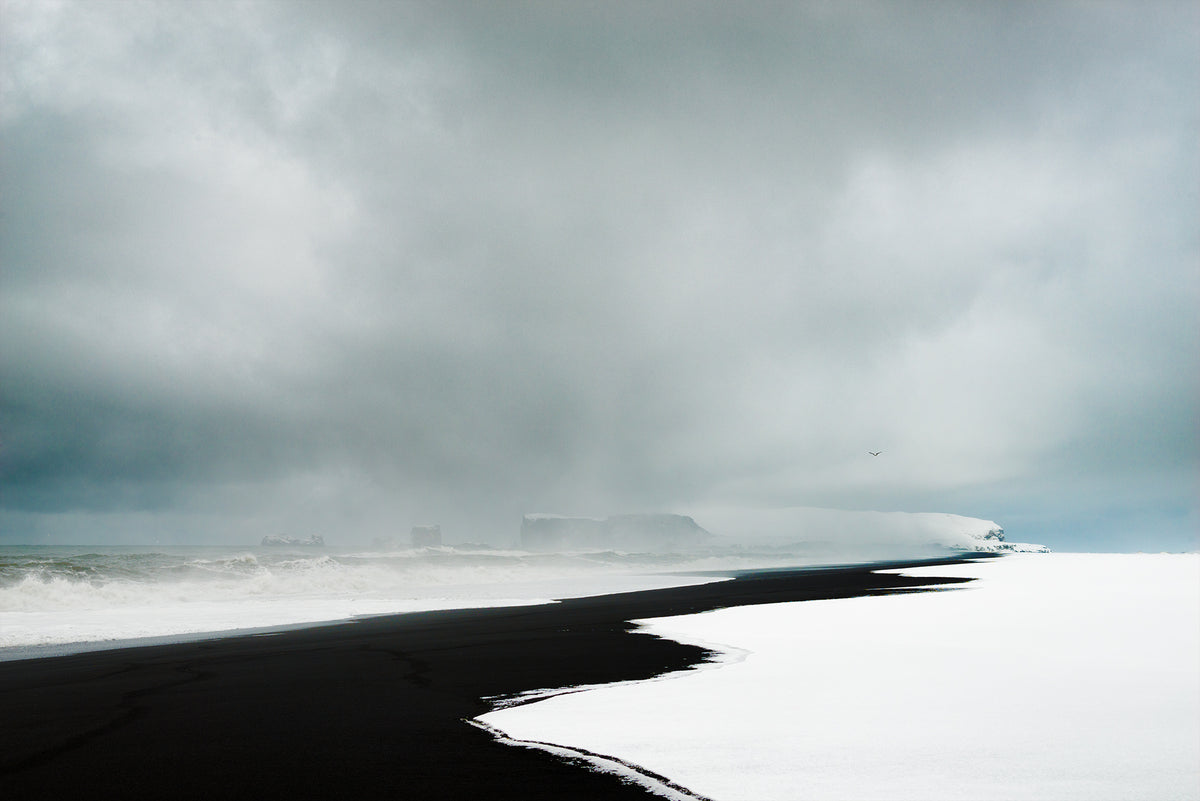 Snow Storm, Poster och Canvastavla