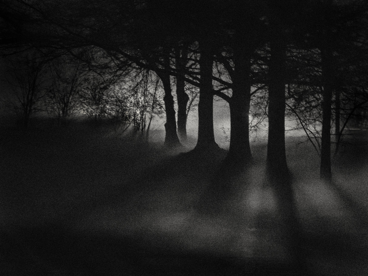 Foggy Night Poster och Canvastavla