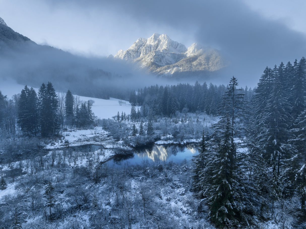 Winter mist Poster och Canvastavla