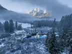 Winter mist Poster och Canvastavla