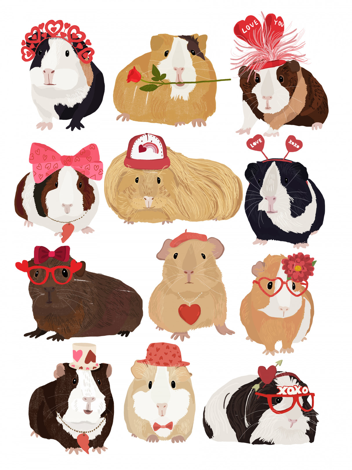 Love Guinea Pigs Poster och Canvastavla