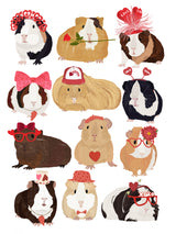 Love Guinea Pigs Poster och Canvastavla