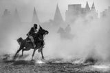 Horse Poster och Canvastavla