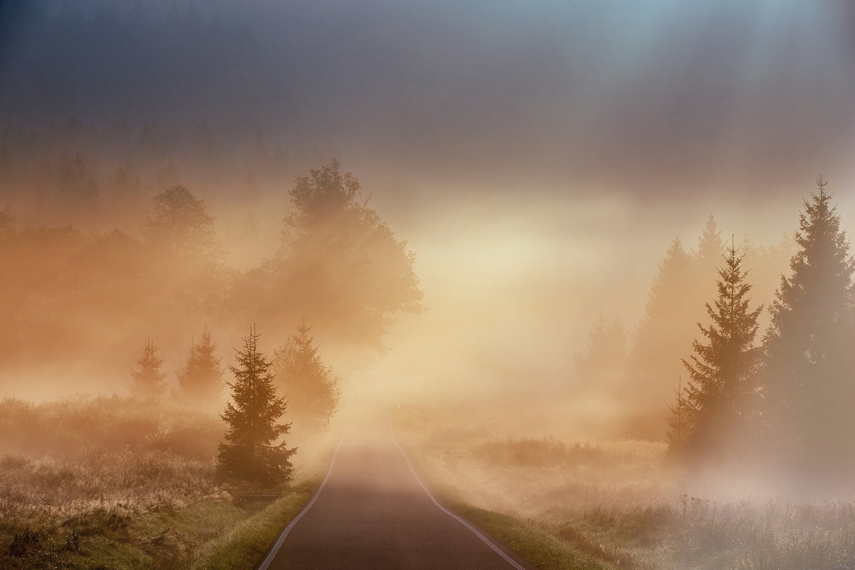 Magical morning Poster och Canvastavla