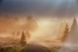 Magical morning Poster och Canvastavla