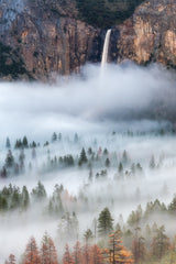 Mist Falls Poster och Canvastavla