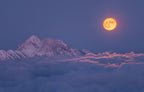 Super moon rises Poster och Canvastavla