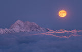 Super moon rises Poster och Canvastavla