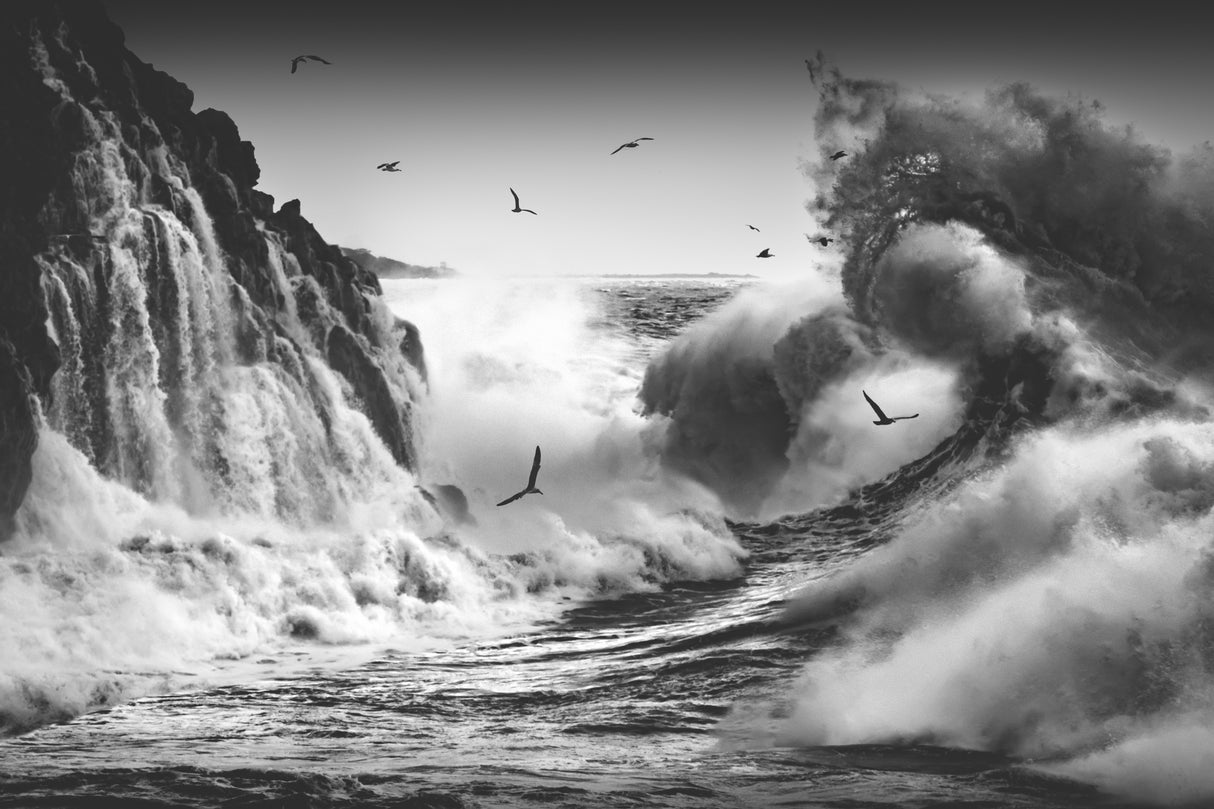 BIRDS IN THE STORM (Part 10) Poster och Canvastavla
