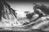 BIRDS IN THE STORM (Part 10) Poster och Canvastavla