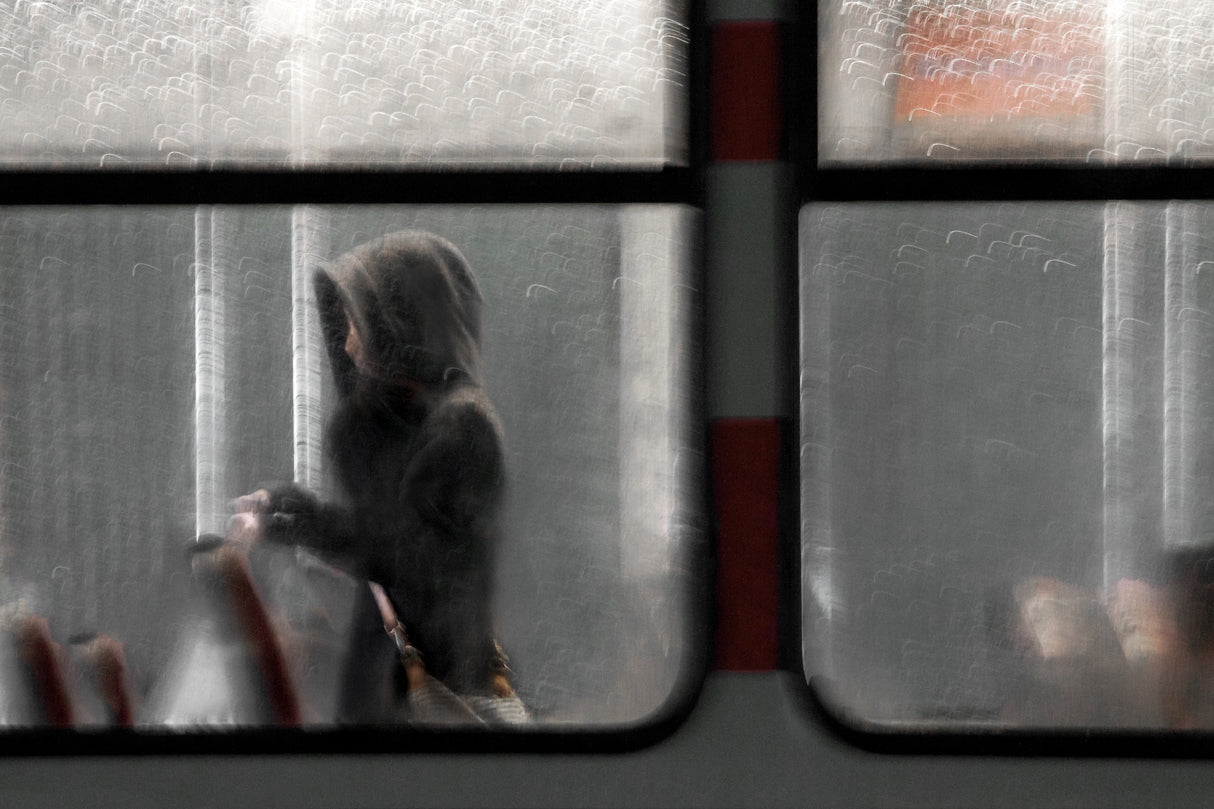 the glimpse Poster och Canvastavla