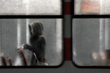 the glimpse Poster och Canvastavla