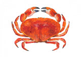 Watercolour Crab Poster och Canvastavla