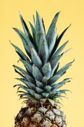 Pineapple Yellow 01 Poster och Canvastavla