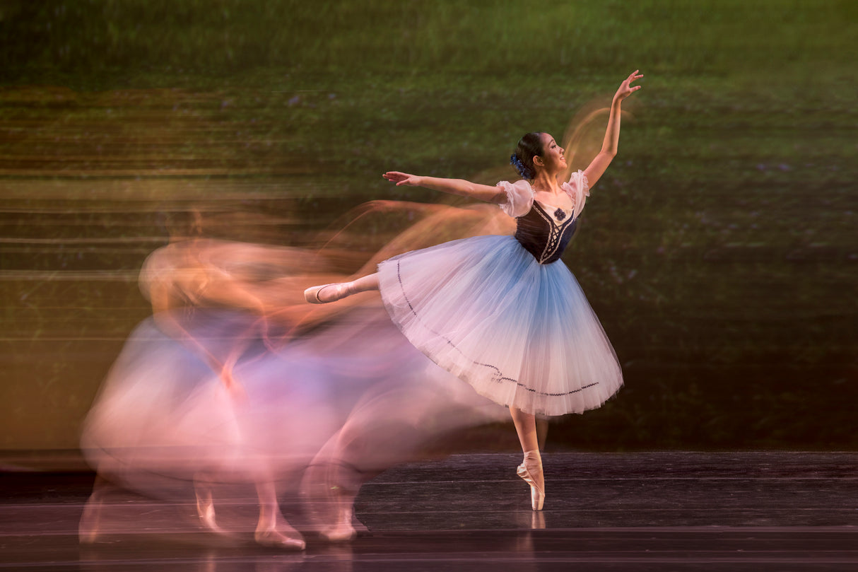 Coppelia Poster och Canvastavla