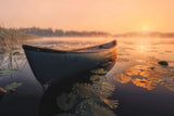 Sunrise in the fog Poster och Canvastavla