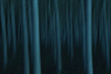 like so many dead souls Poster och Canvastavla