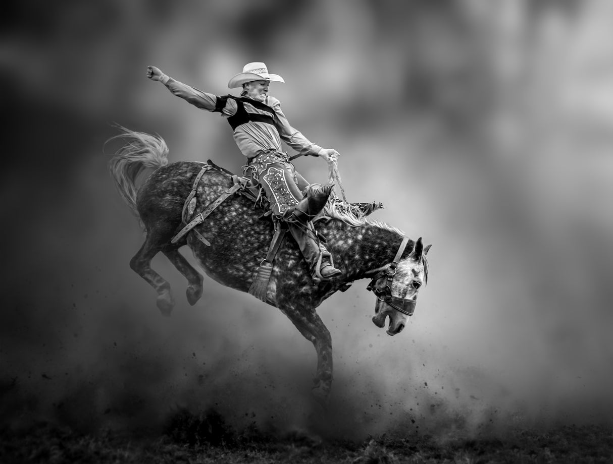 Rodeo Poster och Canvastavla