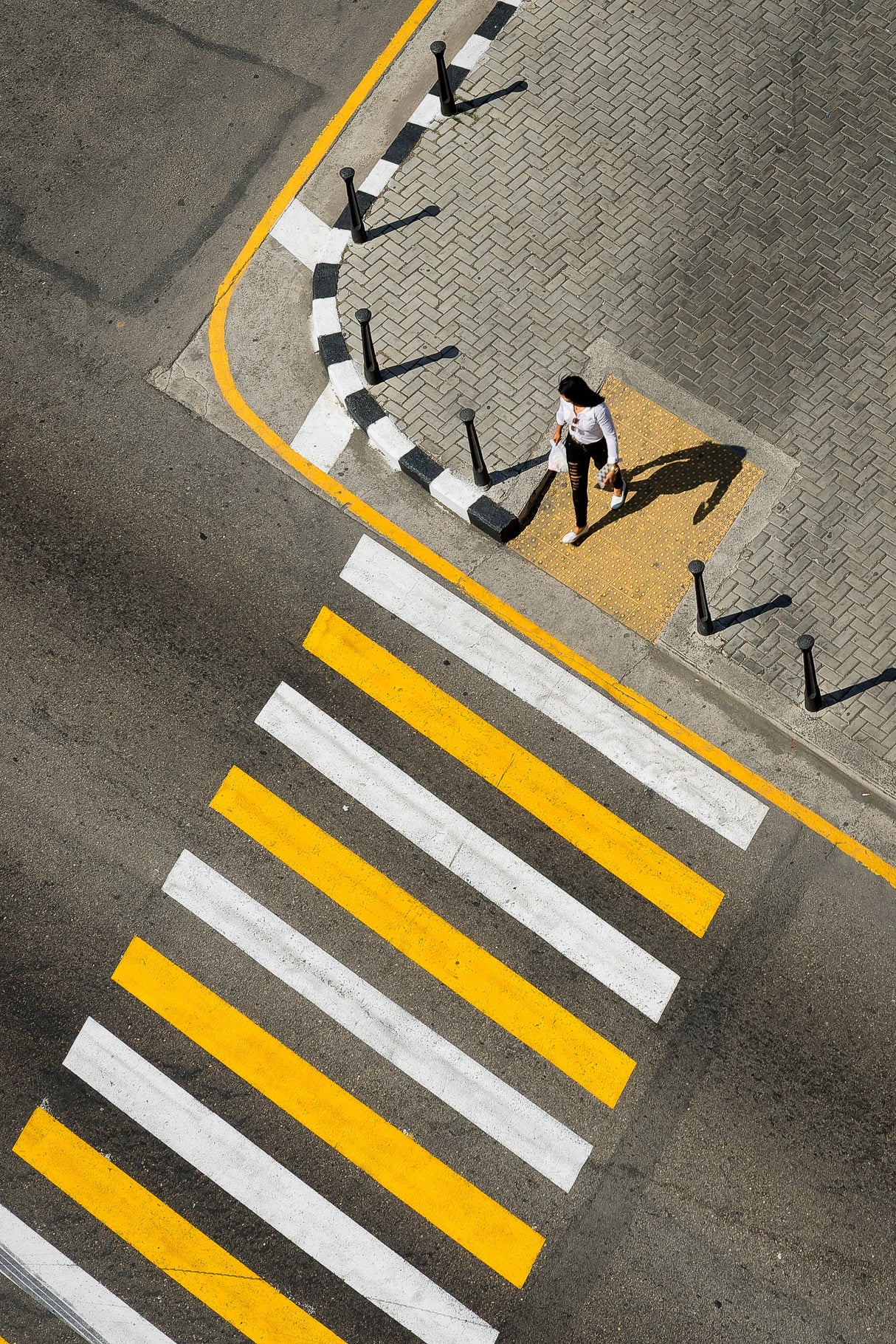 Woman passing Crosswalk Poster och Canvastavla