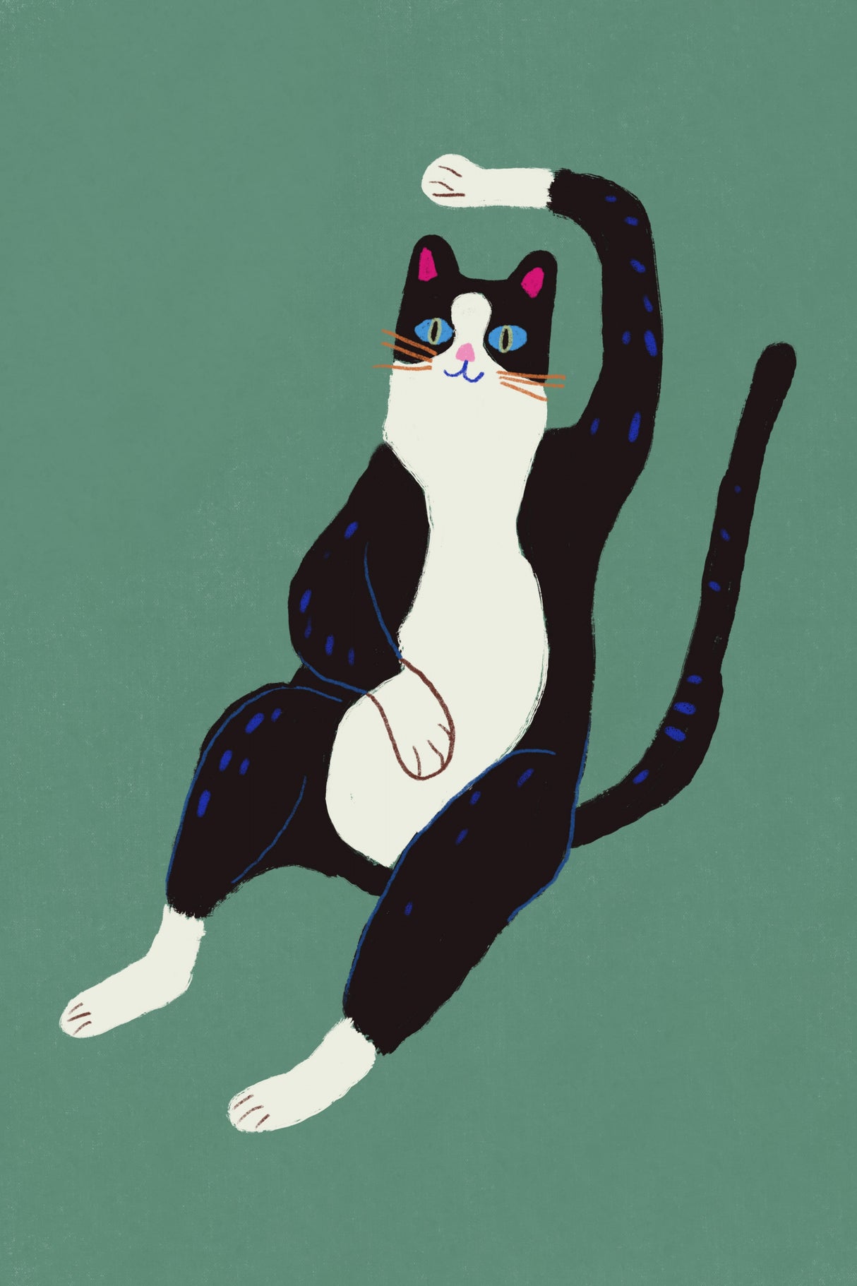 Black and white cat Poster och Canvastavla