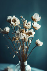 White Flowers On Turquoise Background Poster och Canvastavla