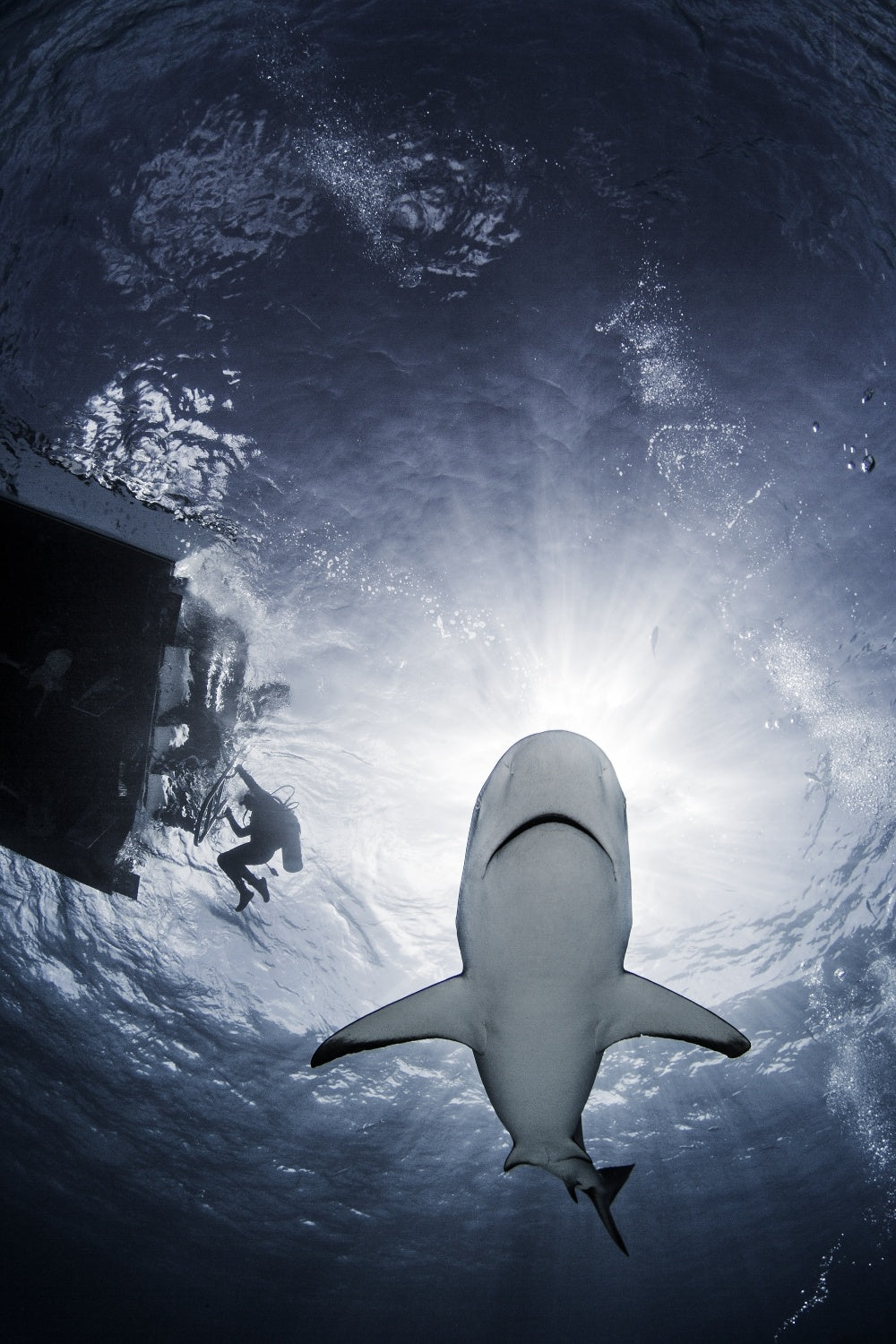Reefs from the Sun Poster och Canvastavla
