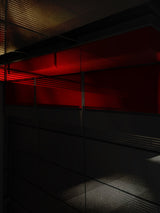 Red/Black Poster och Canvastavla